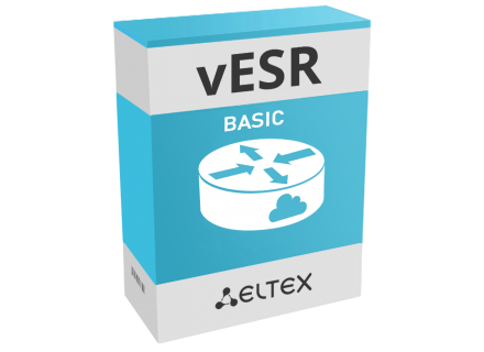 Виртуальный сервисный маршрутизатор vESR BASIC