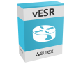 Виртуальный сервисный маршрутизатор vESR
